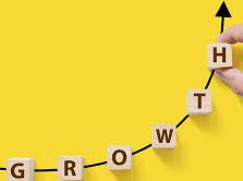 Growth Strategies Every African SME Should Know